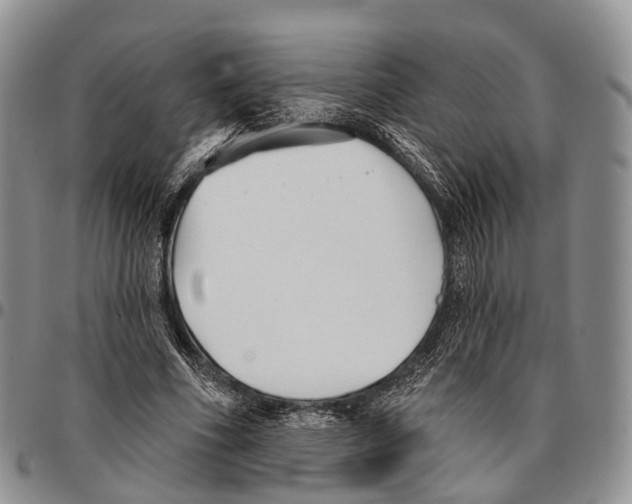 X0000096720586200803041403