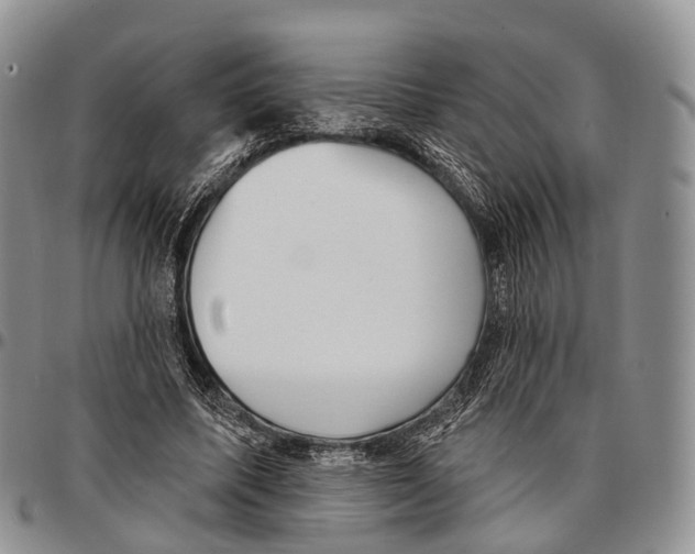 X0000096720587200803041403