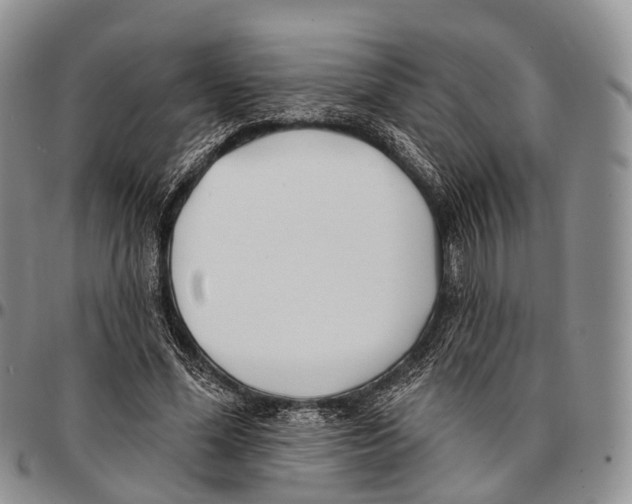 X0000096720588200803041403