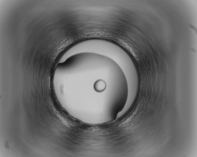 X0000096720589200803041403