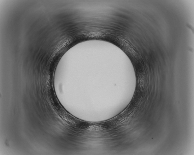 X0000096720591200803041403