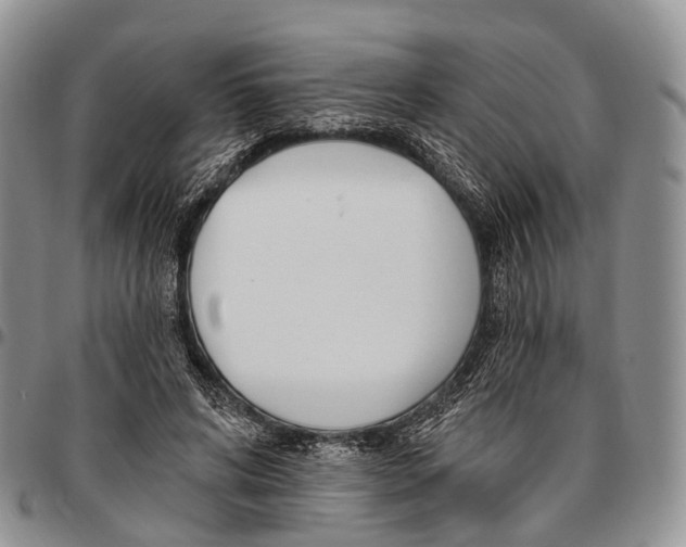 X0000096720592200803041403