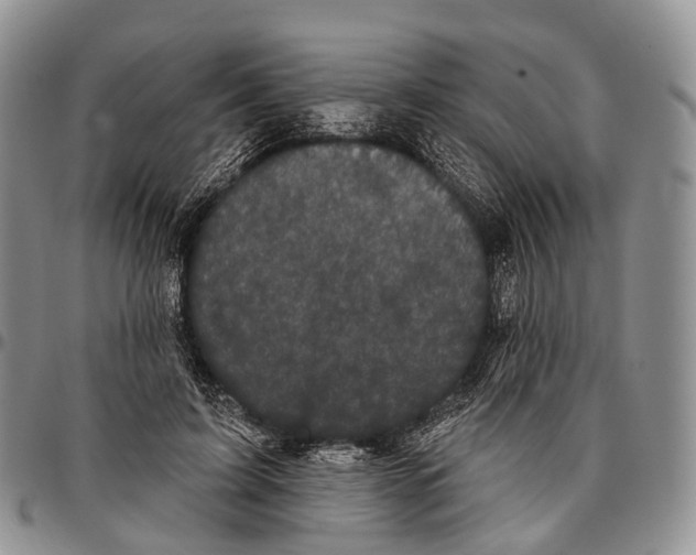 X0000096720595200803041403