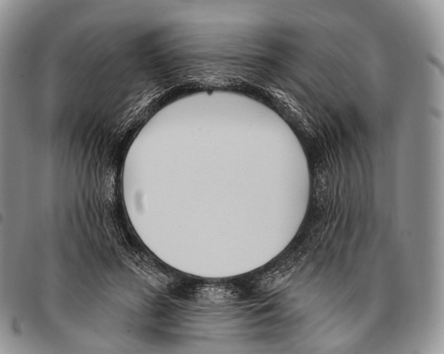 X0000096720596200803041403