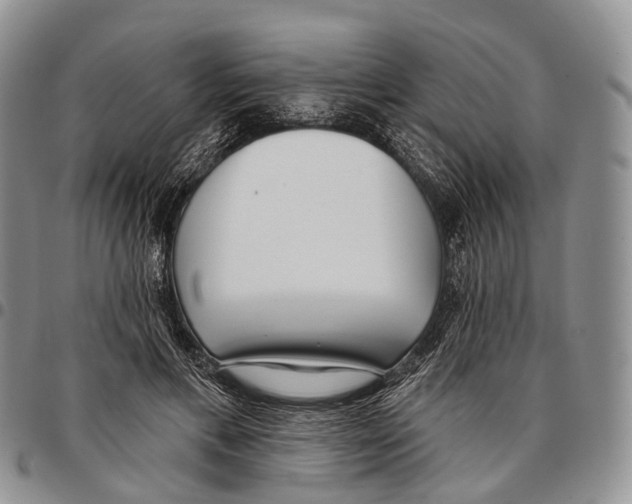 X0000096720597200803041403