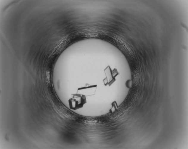 X0000096720598200803041403