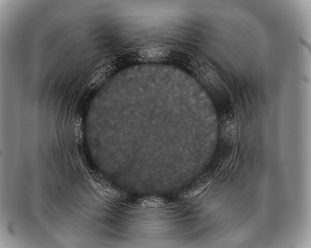 X0000096720599200803041403