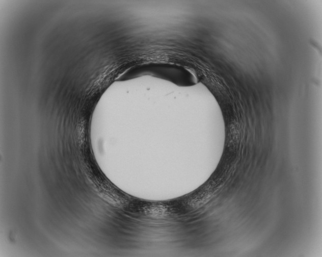 X0000096720600200803041403