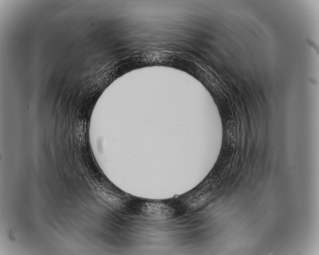 X0000096720605200803041403