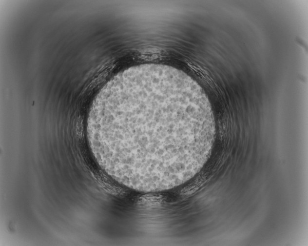 X0000096720606200803041403