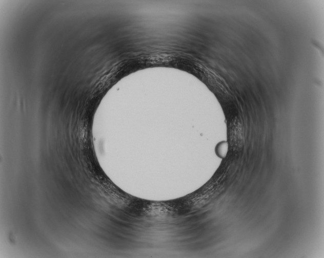 X0000096720608200803041403