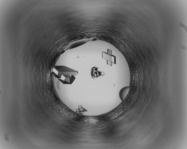 X0000096720610200803041403