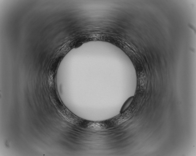 X0000096720611200803041403