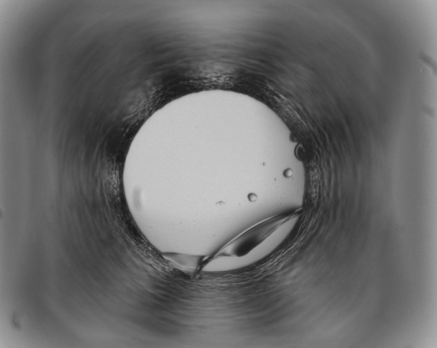 X0000096720613200803041403