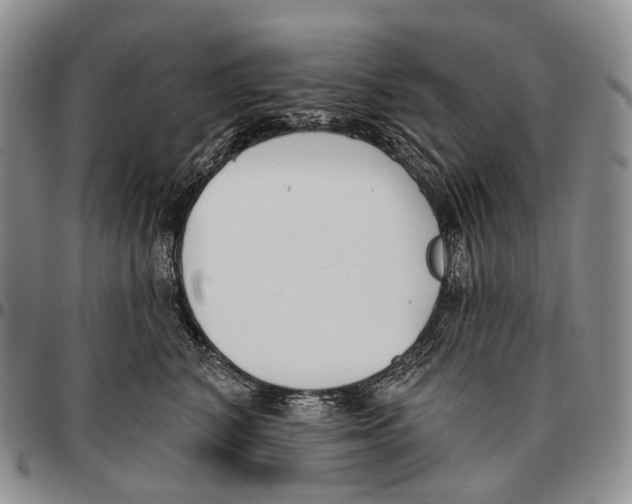 X0000096720616200803041403