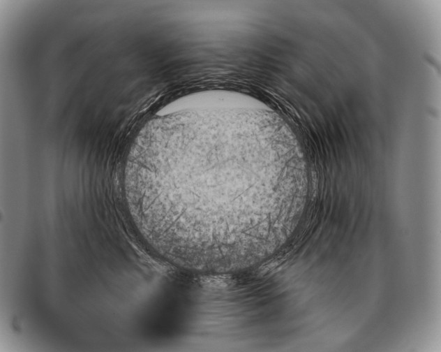 X0000096720618200803041403