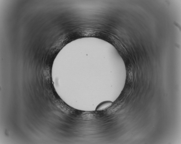 X0000096720620200803041403