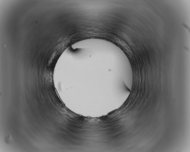 X0000096720621200803041403