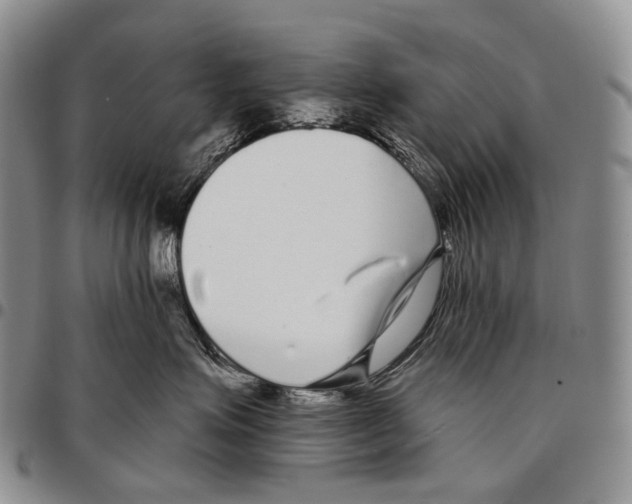 X0000096720623200803041403