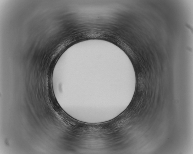 X0000096720626200803041402