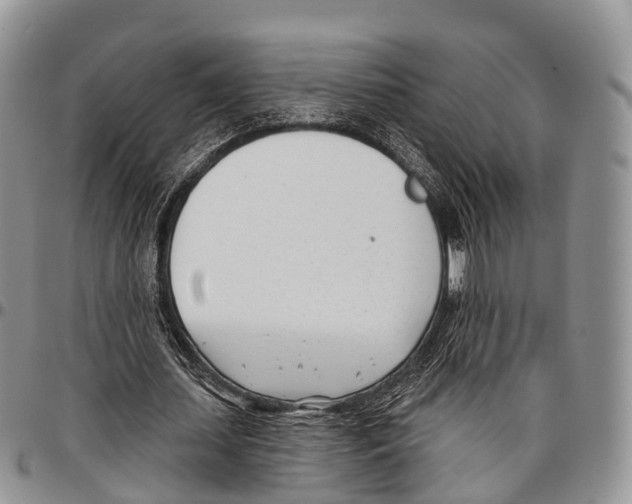 X0000096720627200803041402