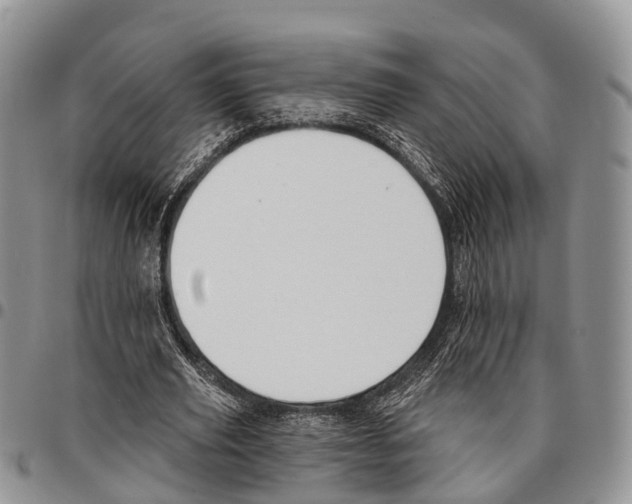 X0000096720629200803041402