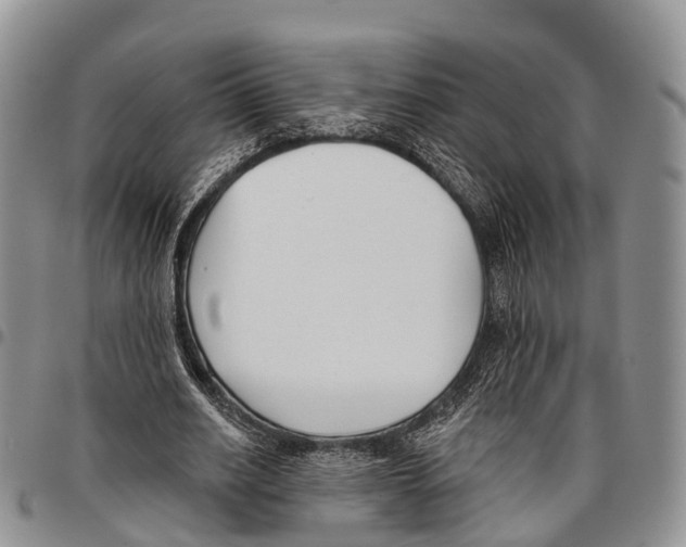 X0000096720630200803041402