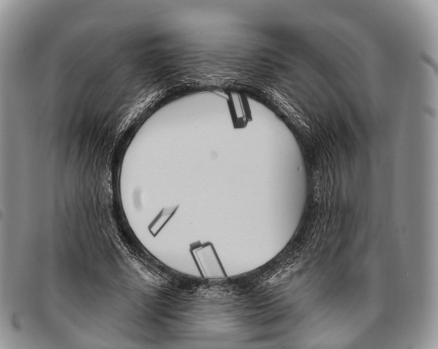 X0000096720634200803041402