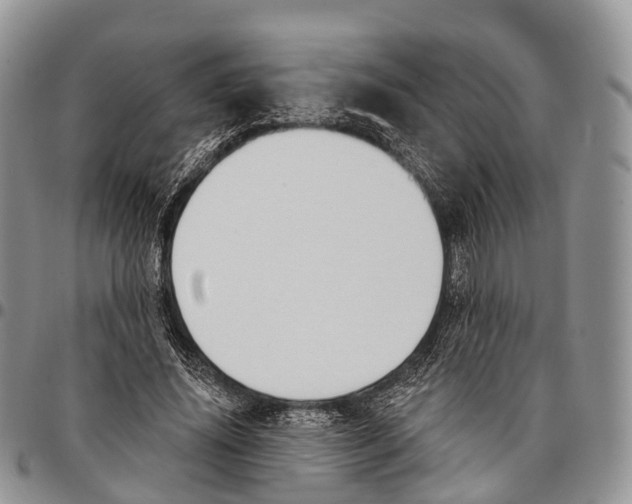 X0000096720636200803041402