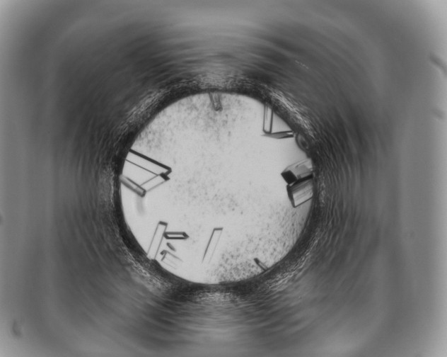 X0000096720637200803041402