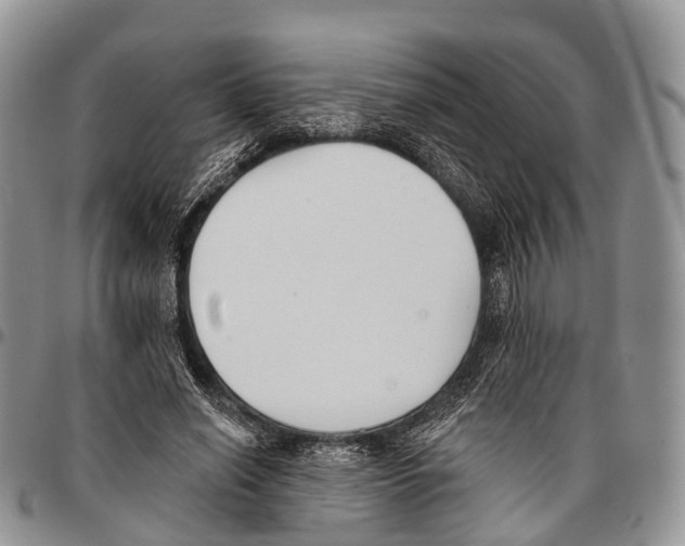 X0000096720638200803041402