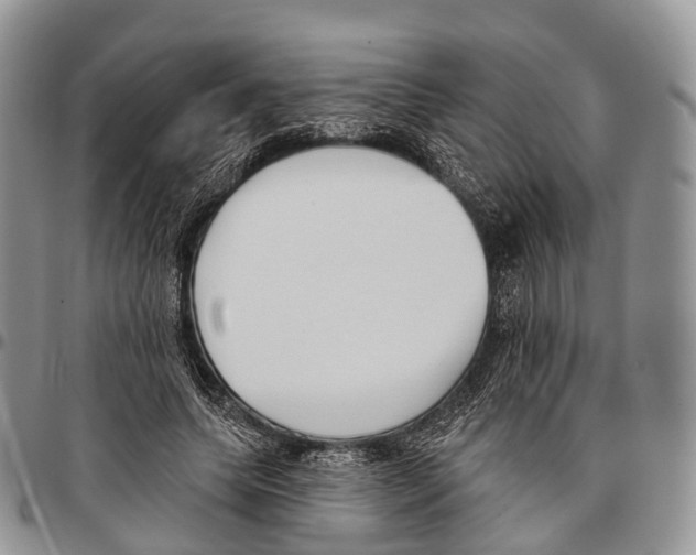 X0000096720639200803041402