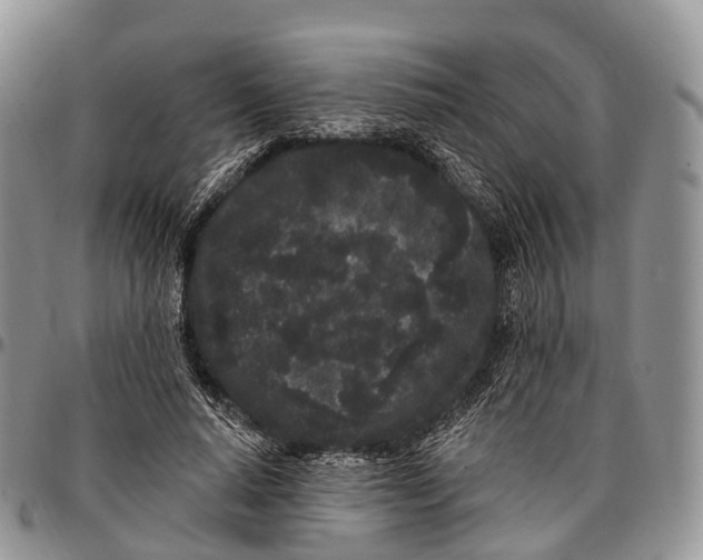 X0000096720640200803041402