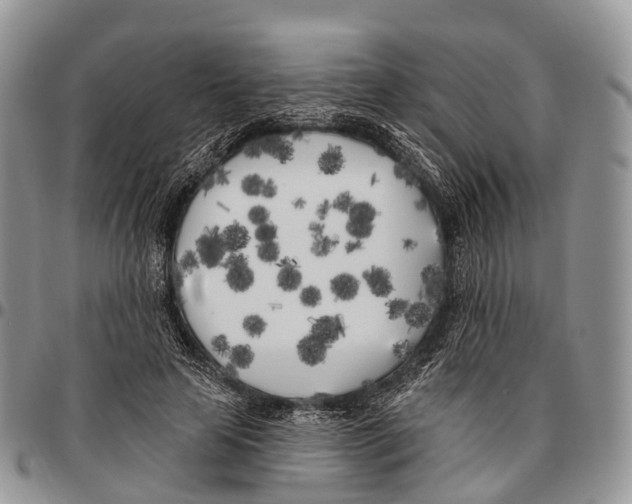 X0000096720641200803041402