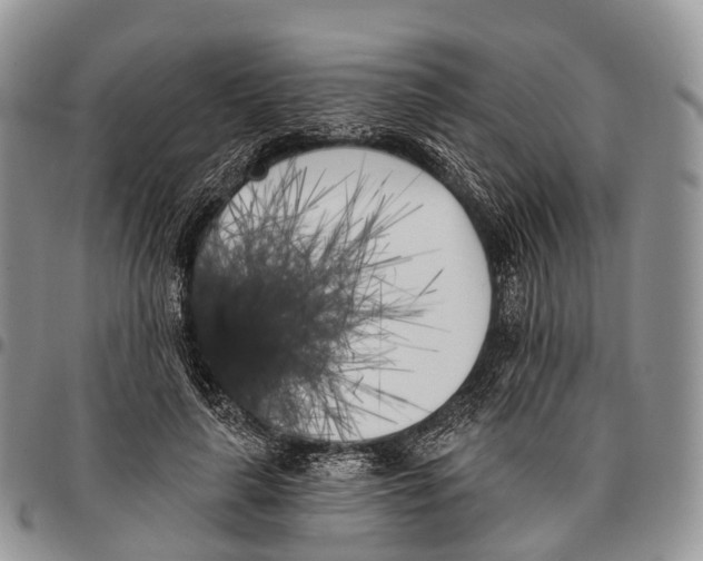 X0000096720643200803041402