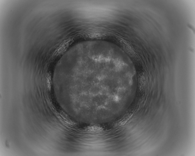 X0000096720644200803041402