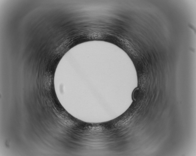 X0000096720645200803041402