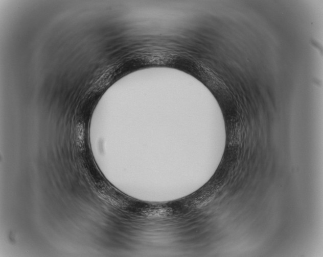 X0000096720646200803041402