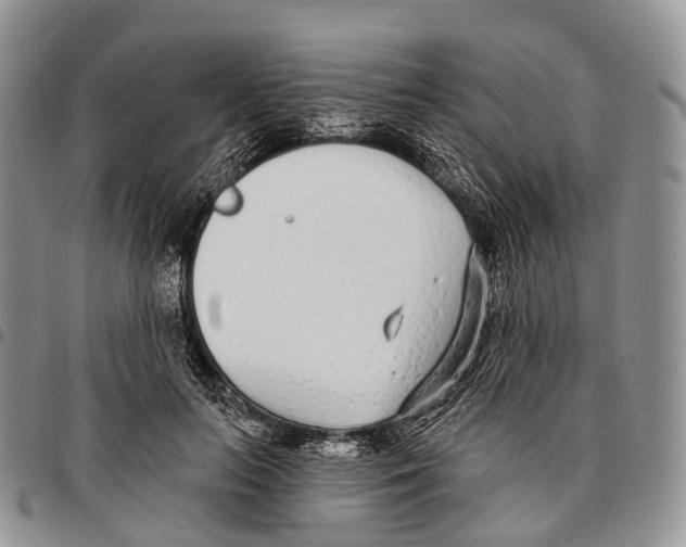 X0000096720647200803041402