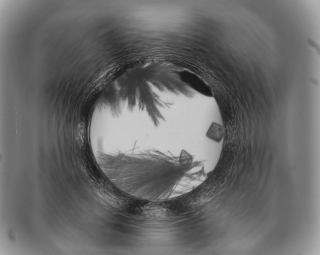 X0000096720648200803041402