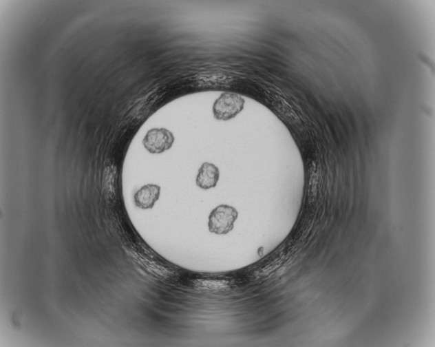 X0000096720649200803041402