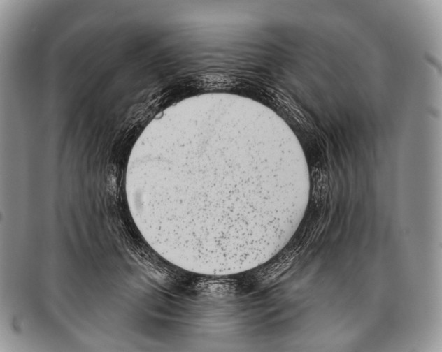 X0000096720655200803041403