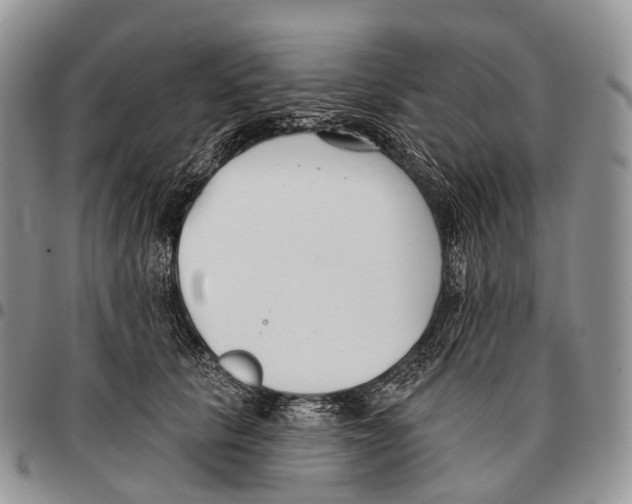 X0000096720657200803041403