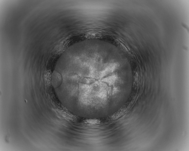 X0000096720659200803041403