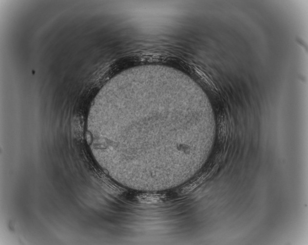 X0000096720661200803041403