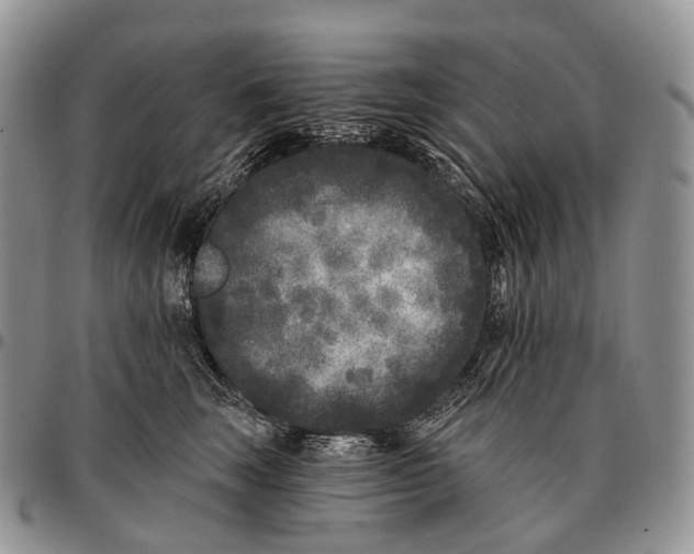 X0000096720663200803041403