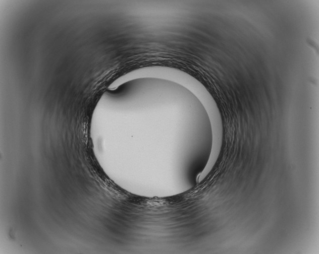 X0000096720666200803041403