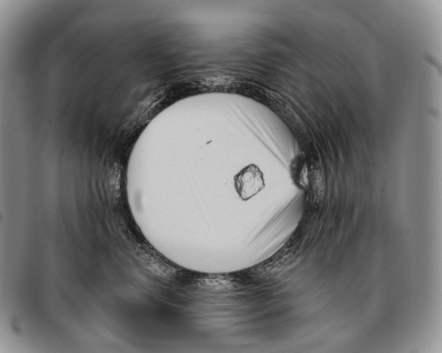 X0000096720668200803041403