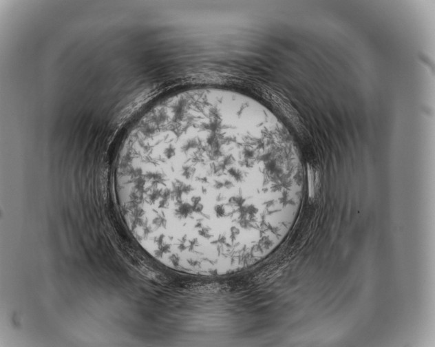 X0000096720675200803041402