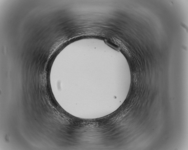 X0000096720676200803041402